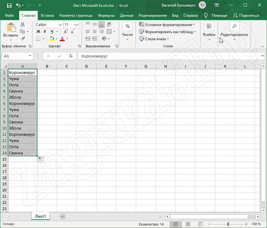 Результат работы списка автозаполнения пользователя в Excel